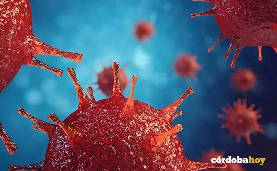 Virus del VIH (Sida)