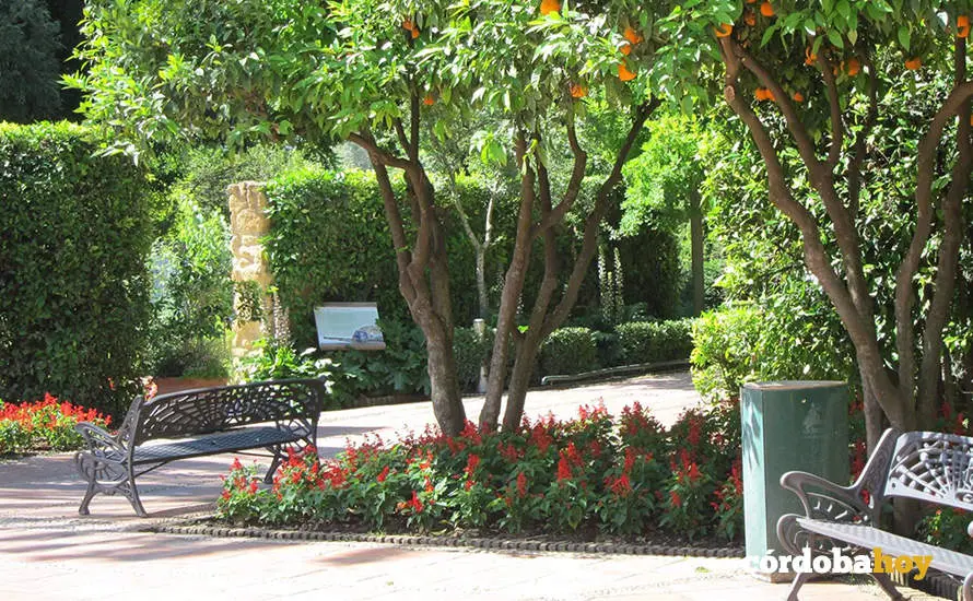 Vista interna del Jard&iacute;n Bot&aacute;nico en una imagen de archivo