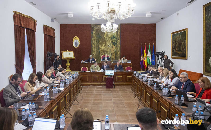 Pleno de la Diputación Provincial de Córdoba