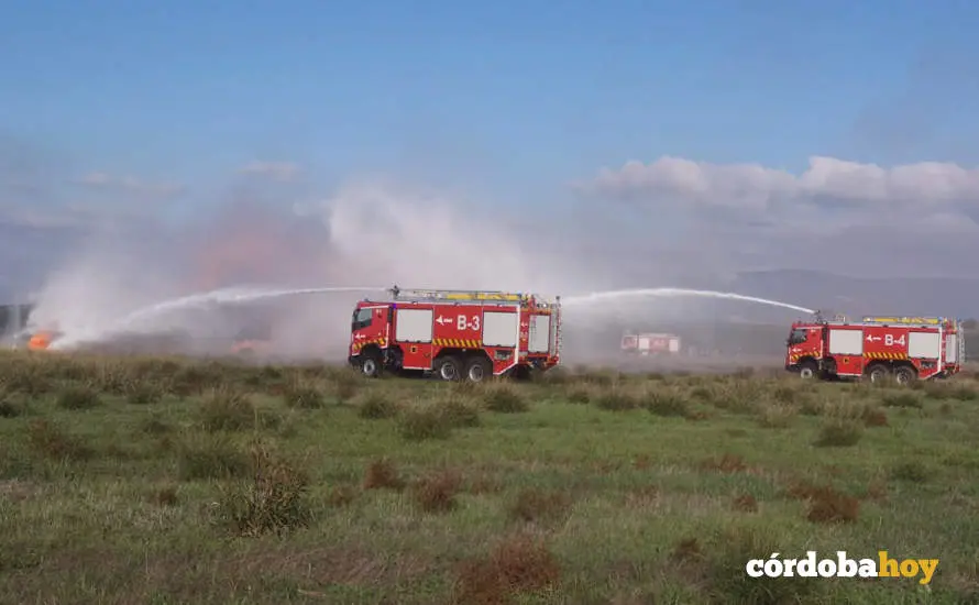 Los bomberos act&uacute;an en el lugar donde supuestamente se ha estrellado el avi&oacute;n