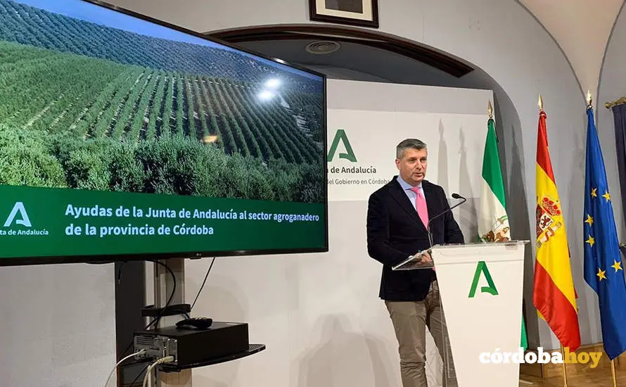 junta de andalucia