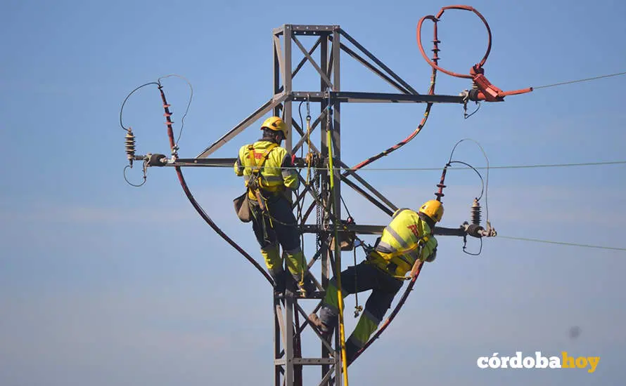 Instalaci&oacute;n de protecciones en una torre de Endesa, en una imagen de archivo