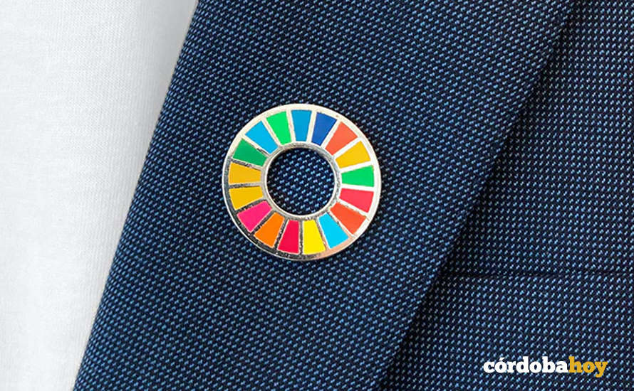 Pin oficial de los Objetivos de Desarrollo Sostenible (ODS)