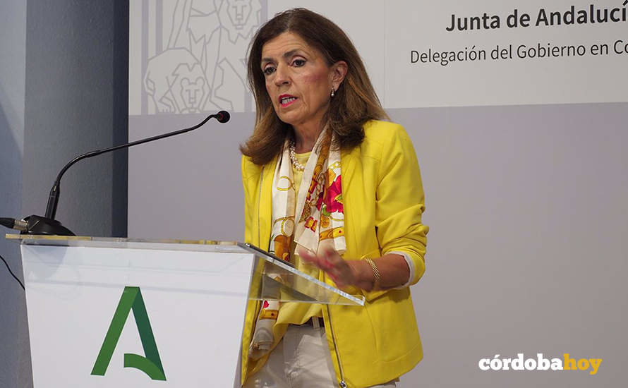 La delegada de Salud y Consumo, María Jesús Botella