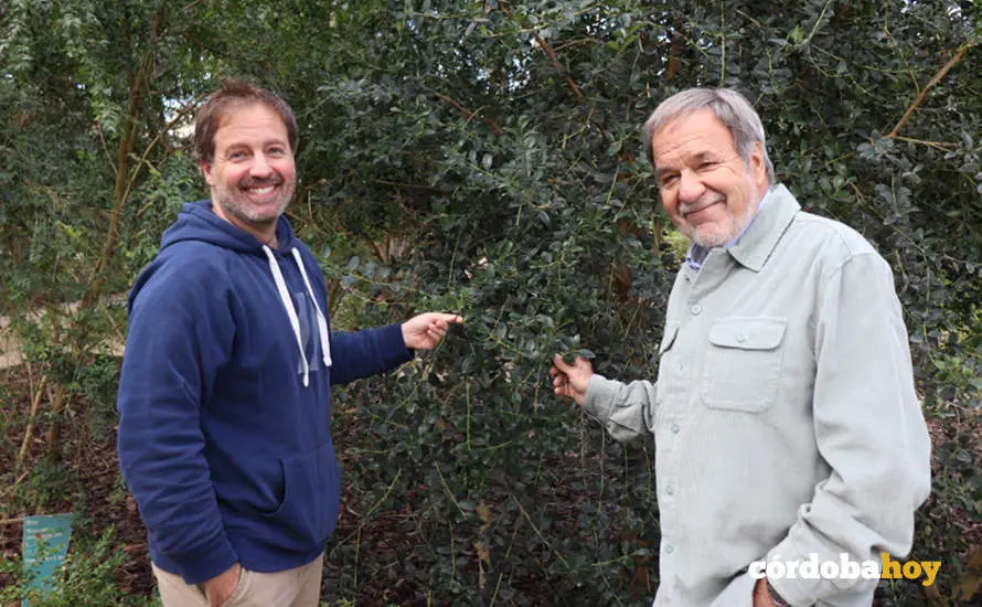 Los investigadores Jos&eacute; Luis Quero y Esteban Hern&aacute;ndez Bermejo junto a un ejemplar de boj balear