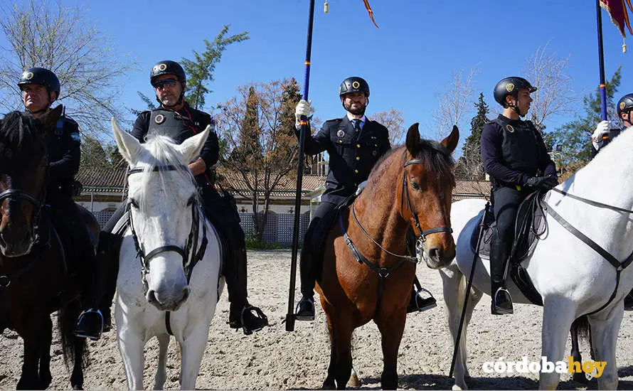 XVI Marcha H&iacute;pica C&oacute;rdoba a Caballo