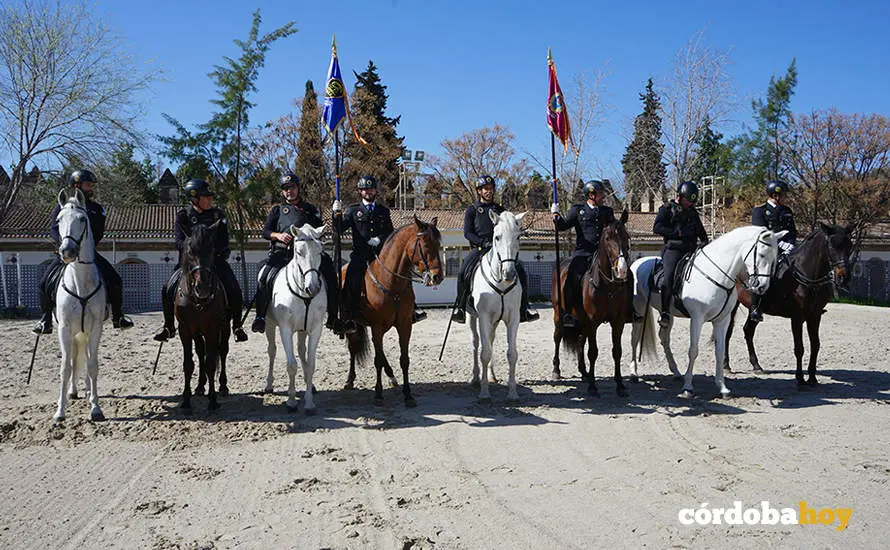 XVI Marcha H&iacute;pica C&oacute;rdoba a Caballo