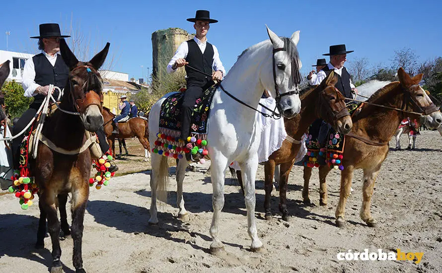 XVI Marcha H&iacute;pica C&oacute;rdoba a Caballo