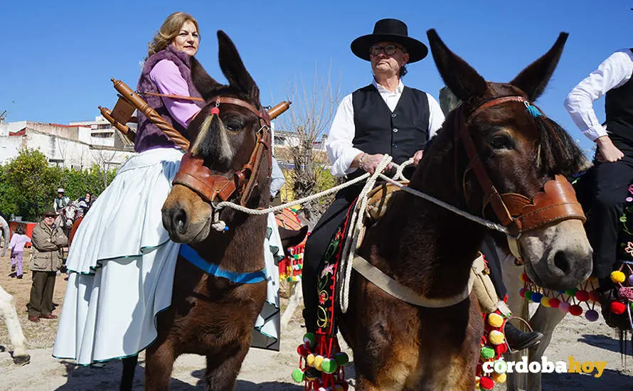 XVI Marcha H&iacute;pica C&oacute;rdoba a Caballo