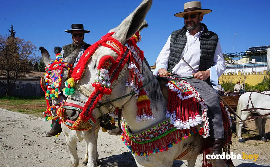 XVI Marcha H&iacute;pica C&oacute;rdoba a Caballo