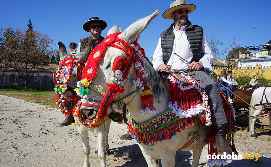  XVI Marcha H&iacute;pica C&oacute;rdoba a Caballo