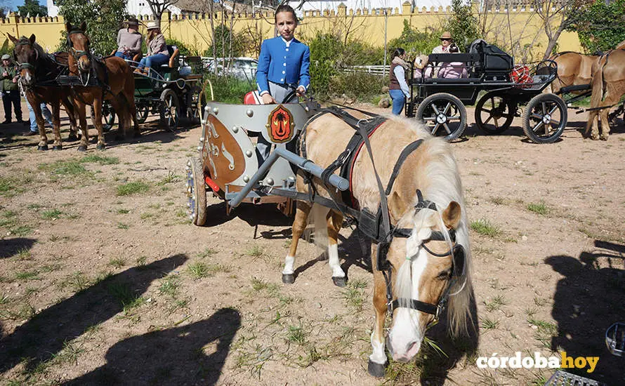 XVI Marcha H&iacute;pica C&oacute;rdoba a Caballo