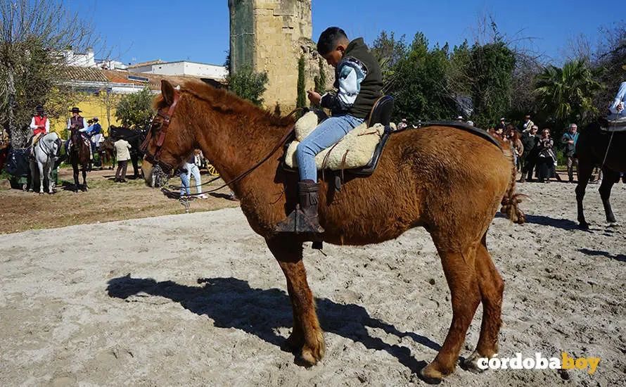 XVI Marcha H&iacute;pica C&oacute;rdoba a Caballo