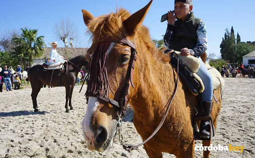 XVI Marcha H&iacute;pica C&oacute;rdoba a Caballo