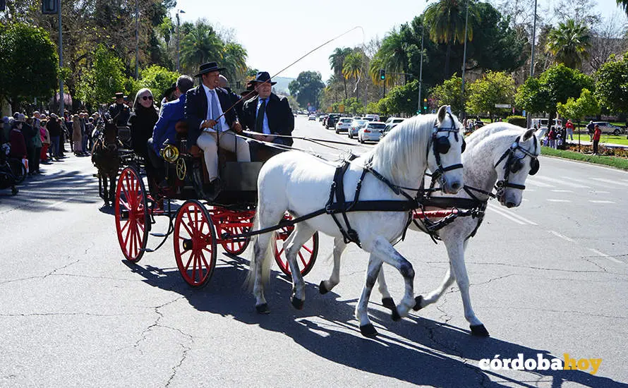 XVI Marcha H&iacute;pica C&oacute;rdoba a Caballo