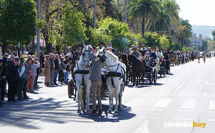 XVI Marcha H&iacute;pica C&oacute;rdoba a Caballo