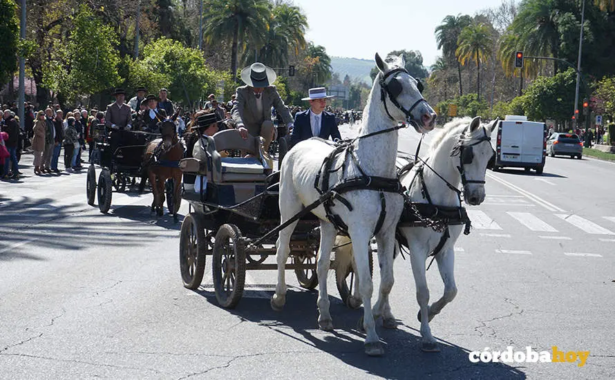 XVI Marcha H&iacute;pica C&oacute;rdoba a Caballo
