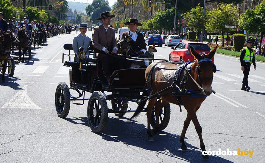 XVI Marcha H&iacute;pica C&oacute;rdoba a Caballo