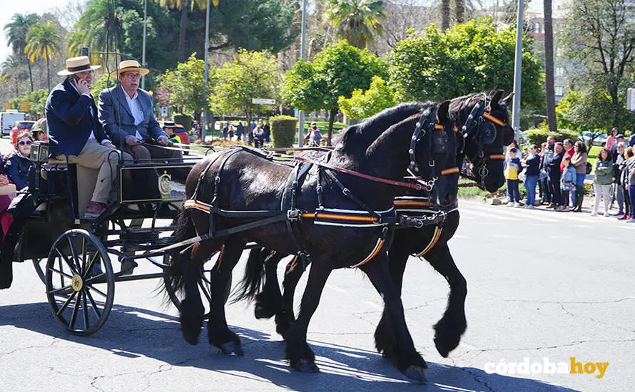 XVI Marcha H&iacute;pica C&oacute;rdoba a Caballo