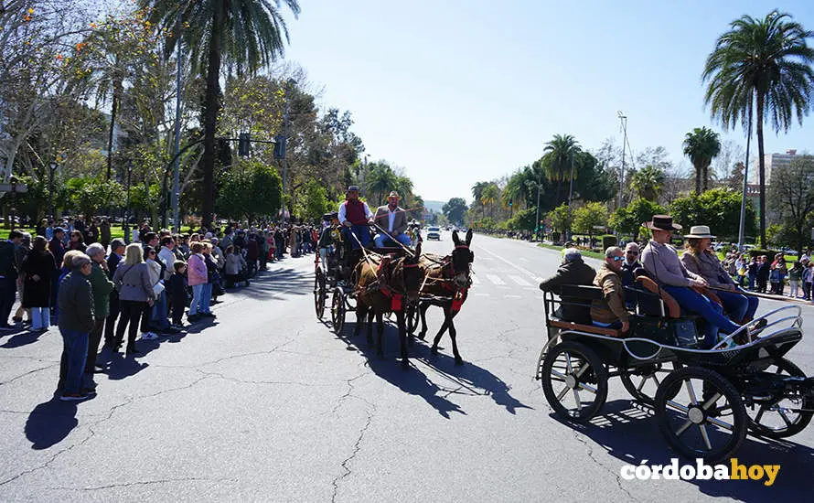 XVI Marcha H&iacute;pica C&oacute;rdoba a Caballo