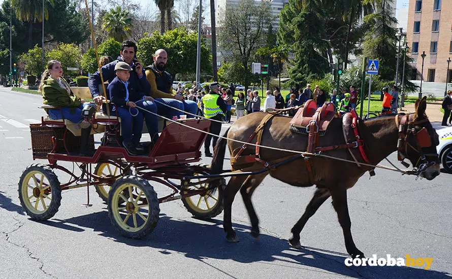 XVI Marcha H&iacute;pica C&oacute;rdoba a Caballo