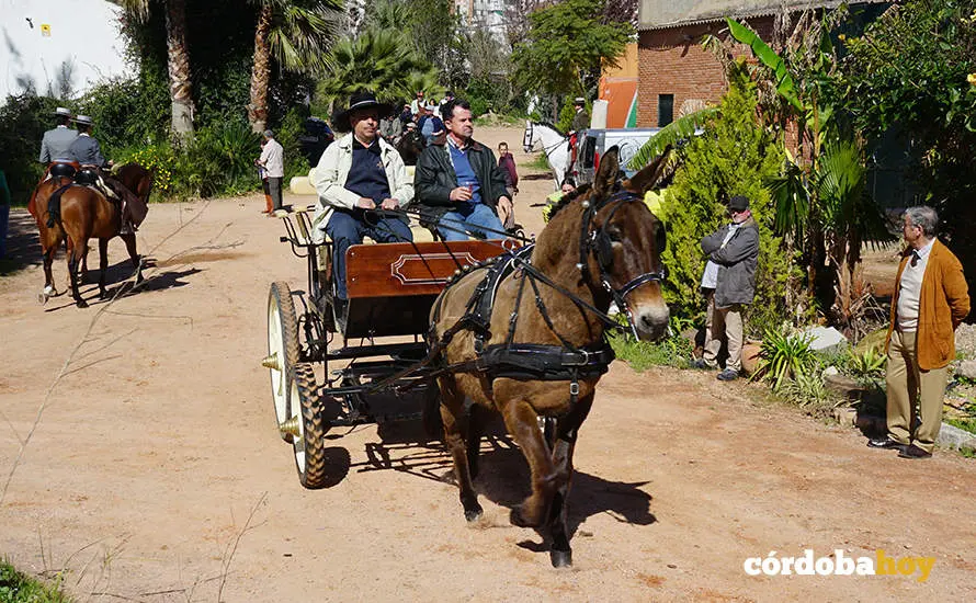 XVI Marcha H&iacute;pica C&oacute;rdoba a Caballo
