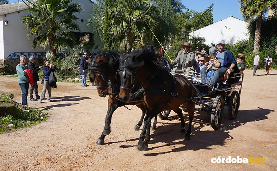 XVI Marcha H&iacute;pica C&oacute;rdoba a Caballo