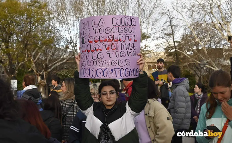 El 8M en las calles de C&oacute;rdoba FOTO JM AYALA