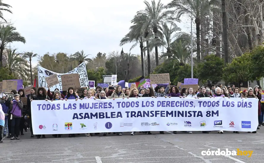 El 8M en las calles de C&oacute;rdoba FOTO JM AYALA