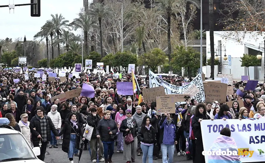 El 8M en las calles de C&oacute;rdoba FOTO JM AYALA