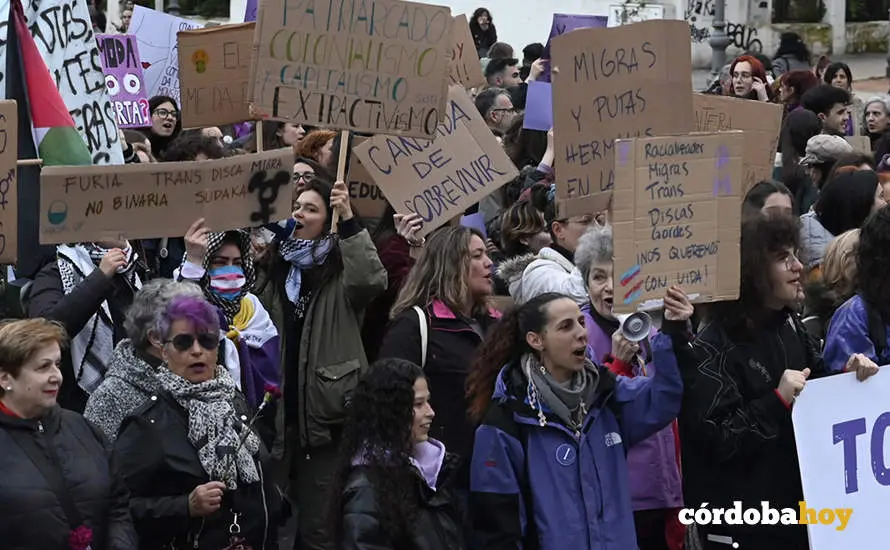 El 8M en las calles de C&oacute;rdoba FOTO JM AYALA