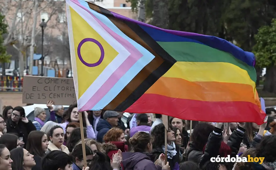 El 8M en las calles de C&oacute;rdoba FOTO JM AYALA