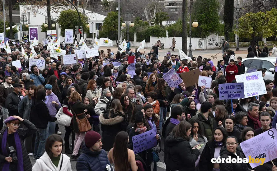 El 8M en las calles de C&oacute;rdoba FOTO JM AYALA