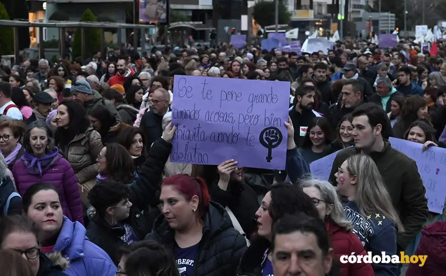 El 8M en las calles de C&oacute;rdoba FOTO JM AYALA
