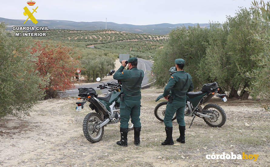 Agentes del Seprona en la provincia de Córdoba