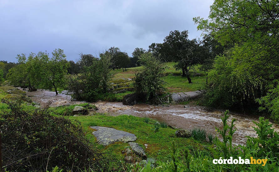 Arroyo del municipio de Cardeña a rebosar de agua tras las lluvias