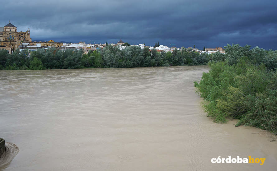 El río Guadalquivir a rebosar de agua