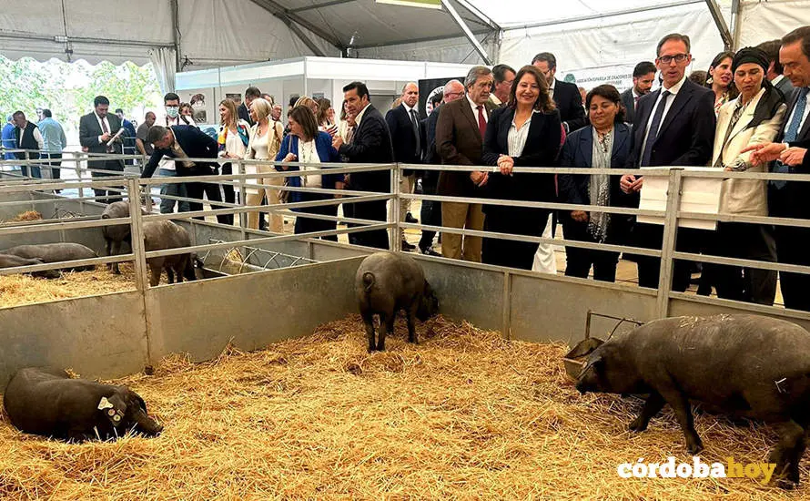 Inauguraci&oacute;n de la Feria Agroganadera de Los Pedroches 2024