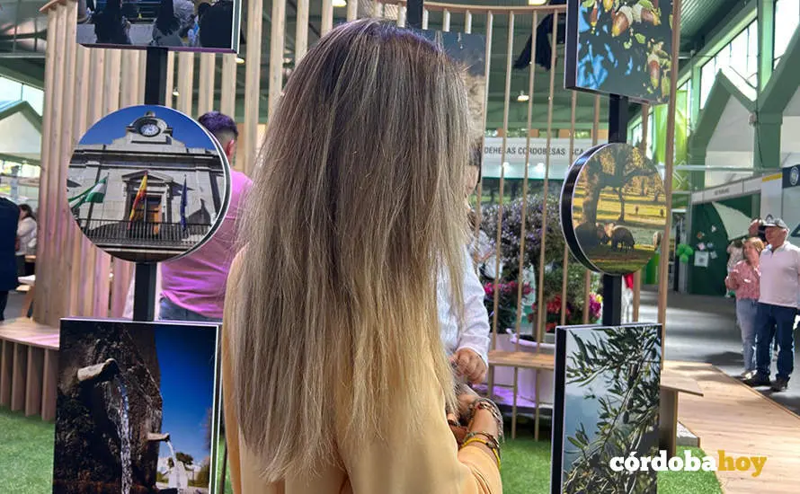 Feria Agroganadera de Los Pedroches 2024