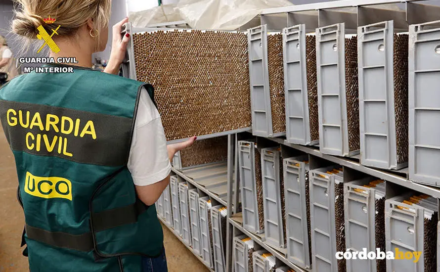Operaci&oacute;n Ganuz&ndash;Califa Duke 24 de la Guardia Civil