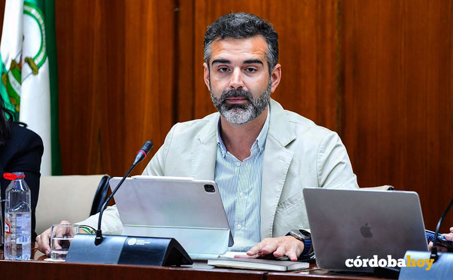 El consejero de Sostenibilidad, Medio Ambiente y Economía Azul, Ramón Fernández-Pacheco, durante su comparecencia