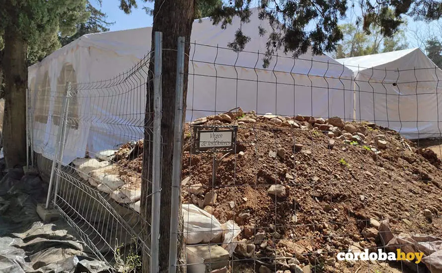 Zona del Cementerio de la Salud donde se realizan exhumaciones de represaliados por los franquistas, en una imagen de archivo