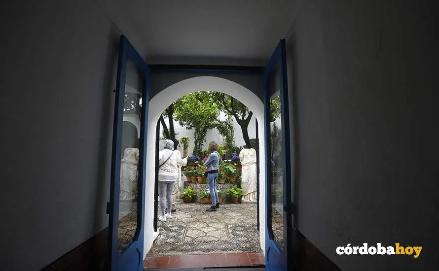 Patios de 2024