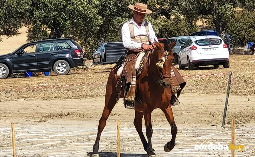 Romer&iacute;a de San Isido en Pe&ntilde;arroya-Pueblonuevo