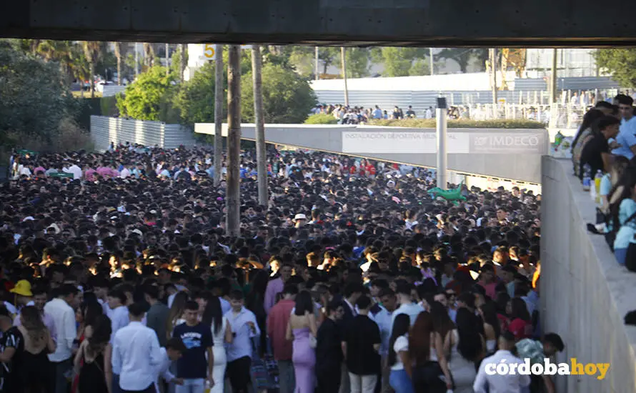 Mi&eacute;rcoles de macrobotell&oacute;n de Feria 2024