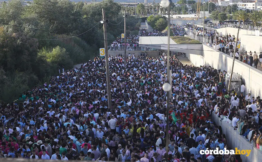 Mi&eacute;rcoles de macrobotell&oacute;n de Feria 2024