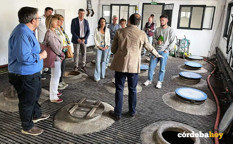 Visita a las Bodegas Doblas, de Moriles