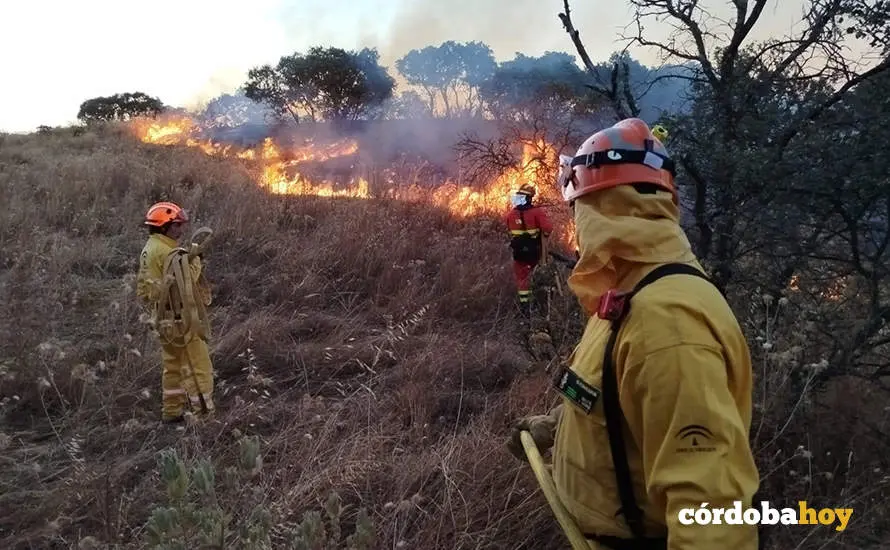 Miembros del Infoca luchando contra el fuego de Obejo FOTO GRUPO VOLUNTARIO SIETE FINCAS