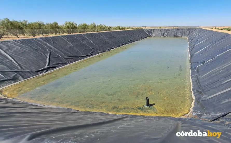 Balsa de almacenamiento no autorizada en una finca de la Campi&ntilde;a cordobesa FOTO CHG