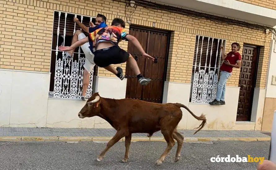 La vaquilla en las fiestas patronales de San Sebasti&aacute;n de los Ballesteros FOTO FACEBOOK DEL AYUNTAMIENTO